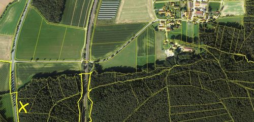 Bayreuth 4 Waldgrundstück mit 3,6 Hektar 60 jähriger Bestand Före und Kiefer eben gelegen